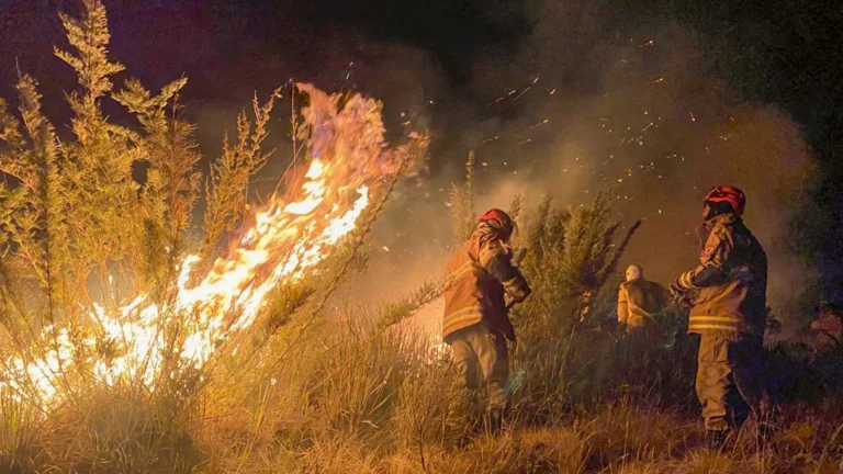 En esta ciudad de Sudamérica hacen monitoreo de incendios forestales con IA