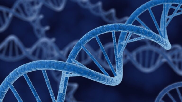 Reloj biológico gtAge con IA mide tu edad interna